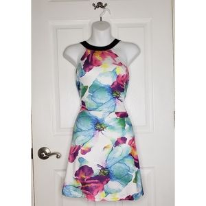 Spring Skater Dress - Multicolor Floral